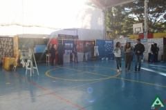 foto5294