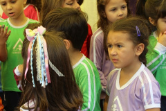 foto7233