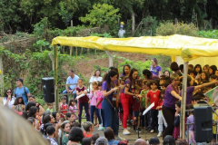 foto7286