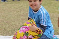 foto7345