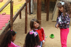 foto7349