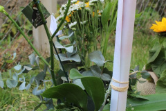 foto7354