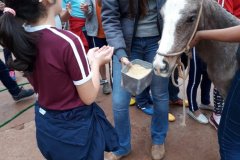 foto5482