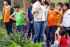 foto5485