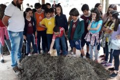 foto5486