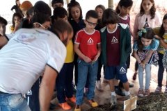 foto5487