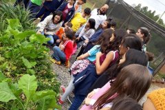 foto5488