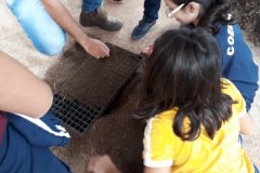 foto5491