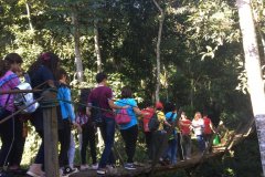 foto5411