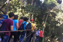 foto5415