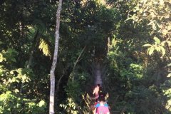 foto5416