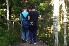 foto5434