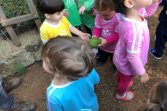 foto5249