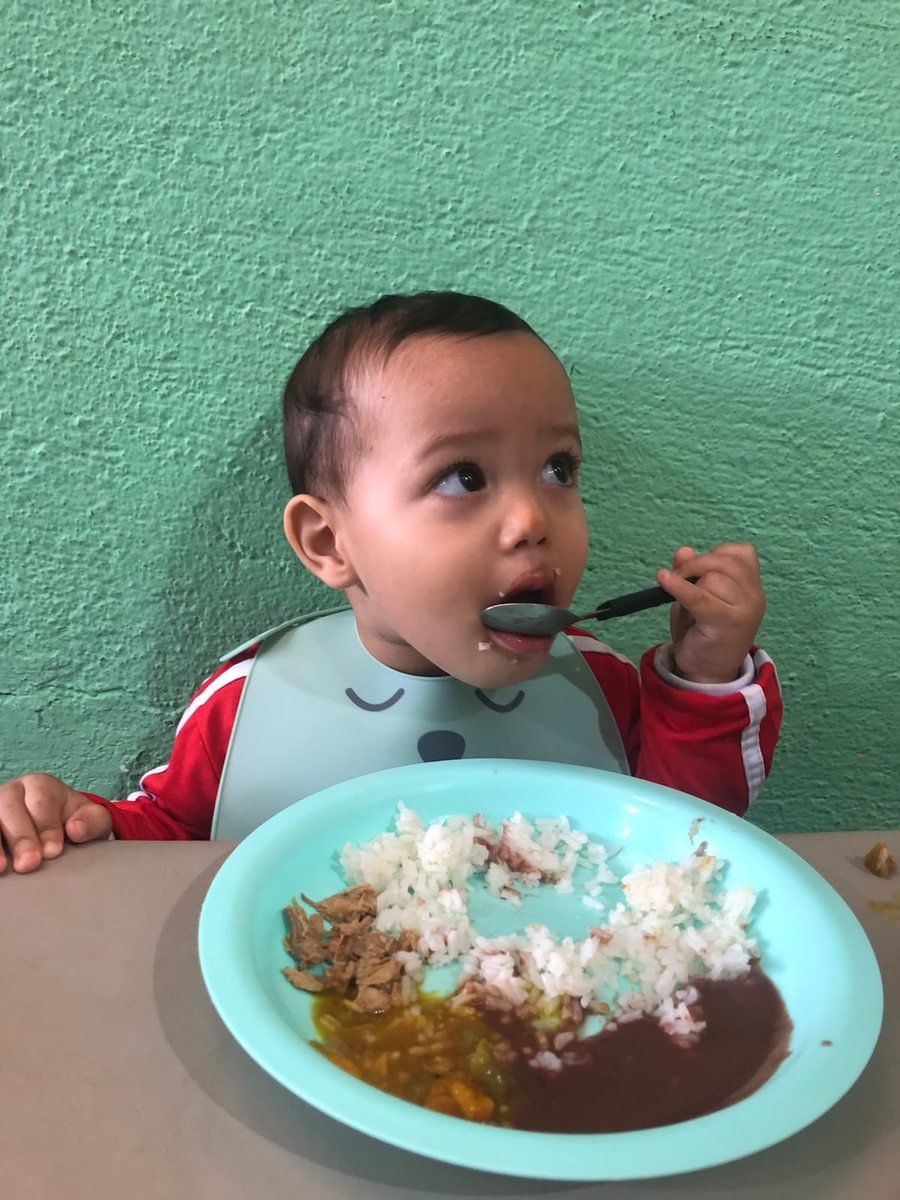 Alimentação