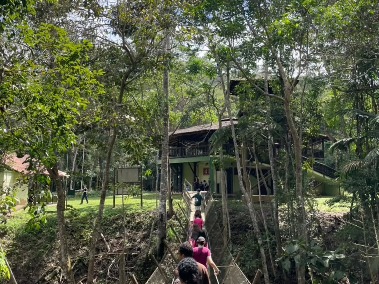 Trilha da Mata do Paraíso: o conteúdo de Geografia e Ciências visto de perto